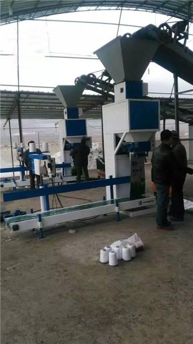 河北粉体包装机询问报价 在线咨询